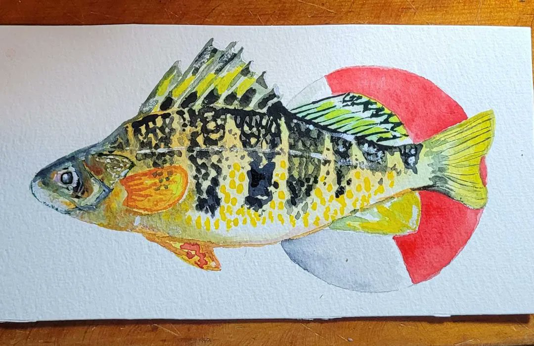 📬 Another postcard in the mail, this one by #WesternU practicum student Darcy McVicar ( @sdarcymcvicar on IG) ! Get your original, postcard-sized artwork by supporting the Practicum class with a $10 minimum donation — buff.ly/3UF7JCP #mailart