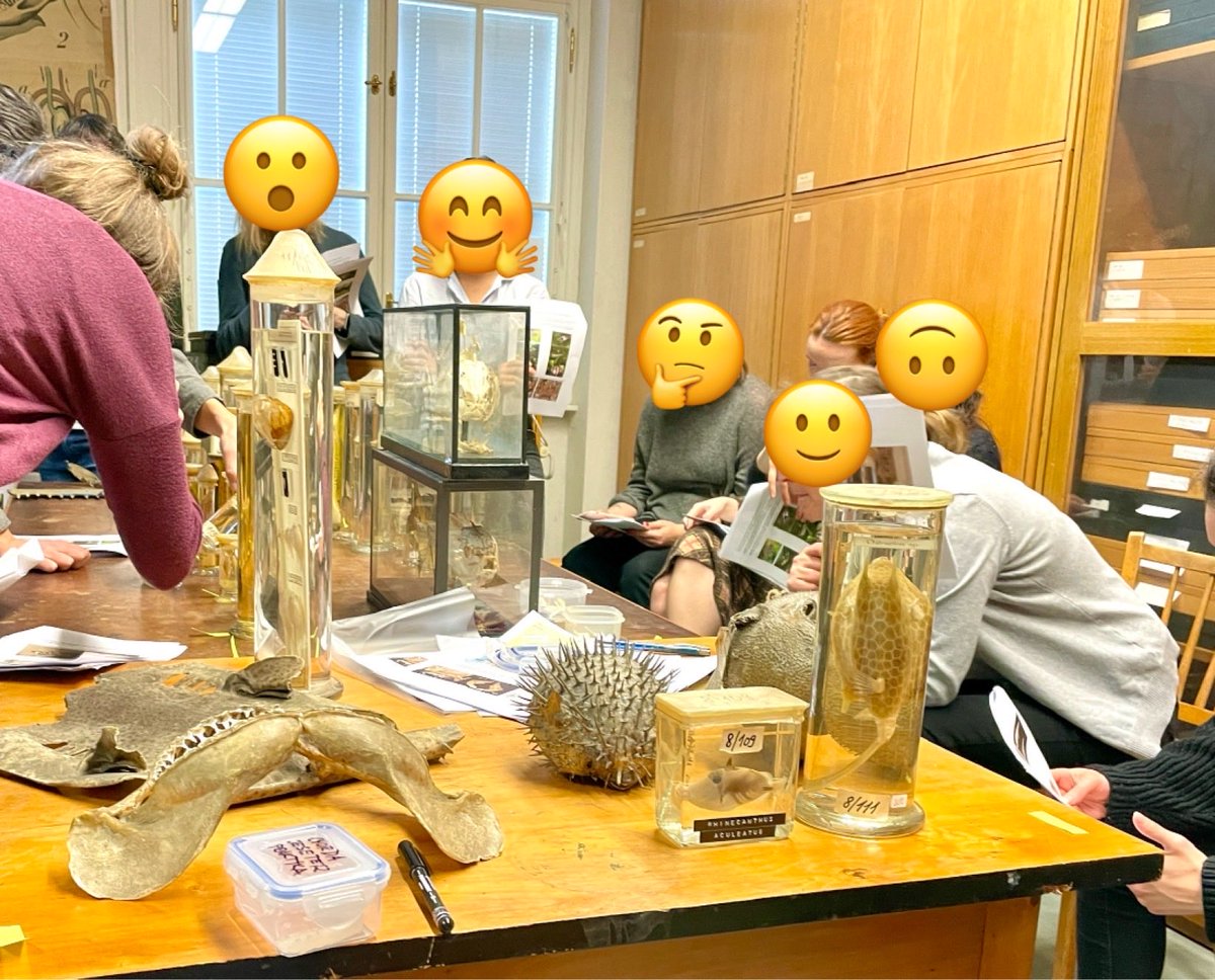 zuzmus's tweet photo. Another successful issue of the ichthyology practicals:-) some items older than 100 years and the students overall very enthusiastic! Itβs a joy to teach:-) #WeLoveFish https://t.co/Hr4l44x3mX