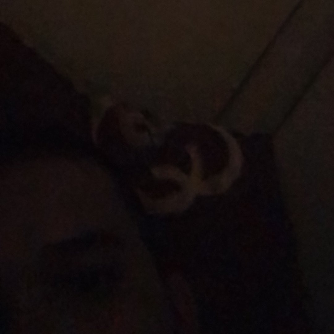 #NewProfilePic