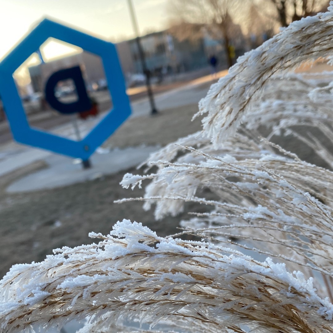 Dakota State University tweet media