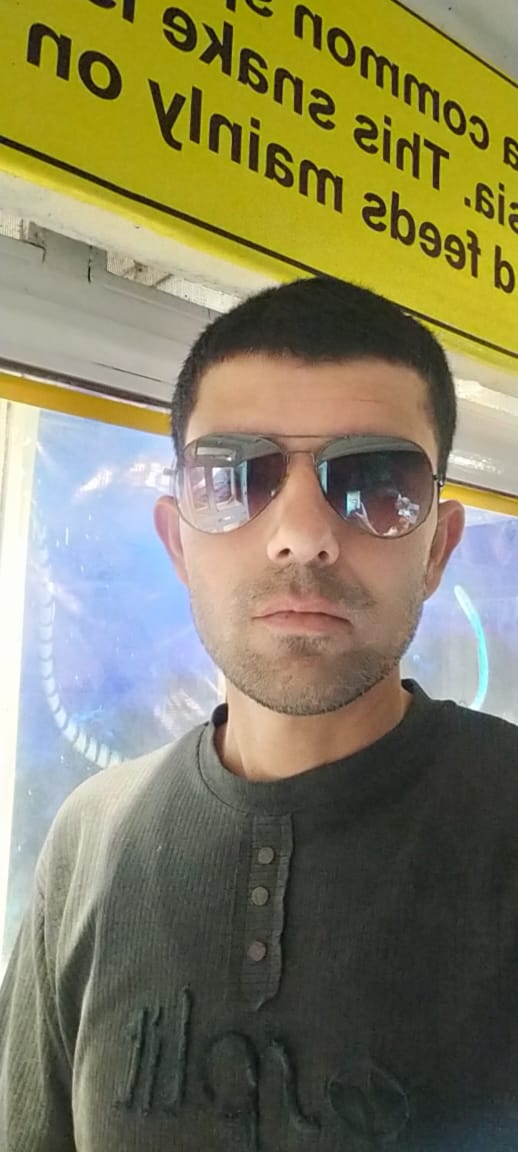 Sheikh Abid social media (pml-n) tweet media