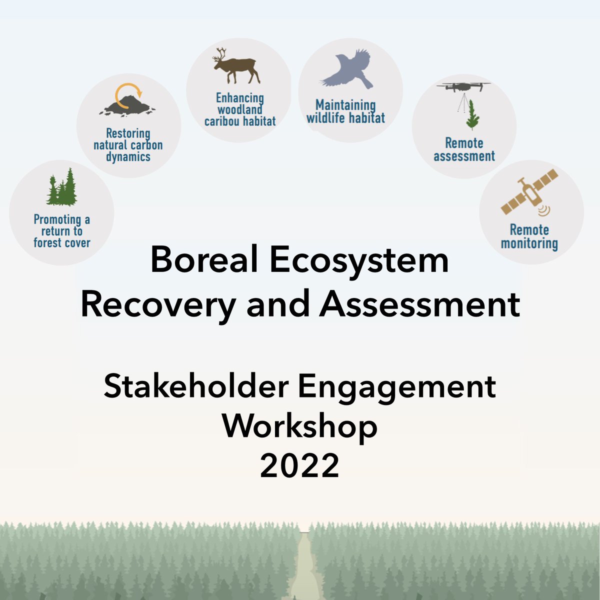 📢Tomorrow, Dec. 9th is the #BERAworkshop2022📢 

Our researchers are looking forward to sharing ongoing research activities, and discussing boreal restoration with our partners, collaborators, and stakeholders!