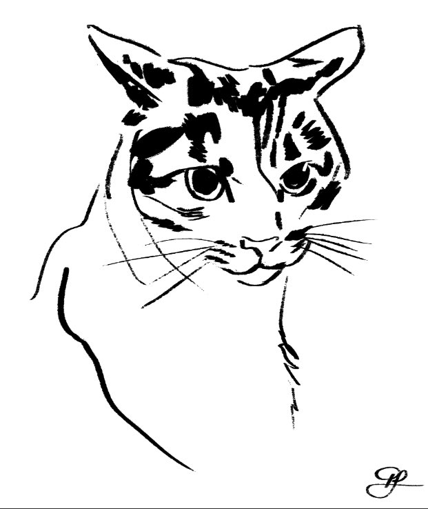 pet portraits also available 