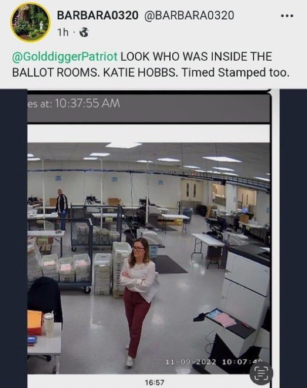PeacePuppyBruh's tweet photo. @katiehobbs Also… Putting “Governor-Elect” really brings attention to the #ElectionFRAUD. The #MidtermSting will see you charged with treason. Still think it was worth it!? https://t.co/oUTsUH7gp1