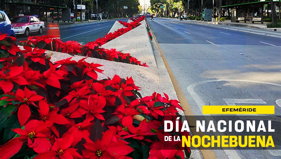 Unam On Twitter Undíacomohoy Se Celebra El Día Nacional De La