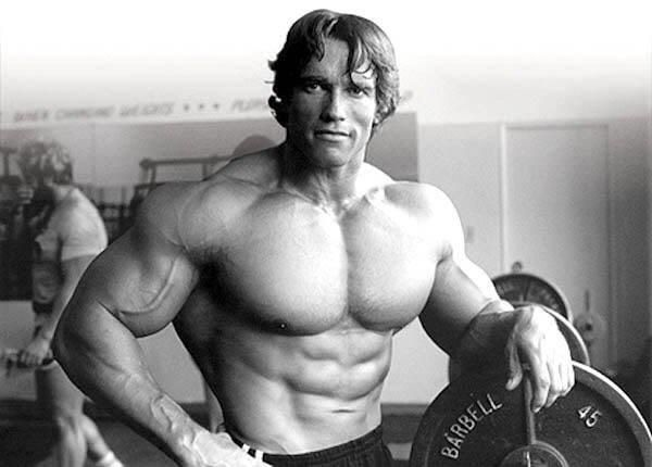 70sBabyLegacy's tweet photo. Name Your Best Favorite Schwarzenegger Movie..
#TheTerminator #SchwarzeneggerMovies https://t.co/1Lmf4bJO5J