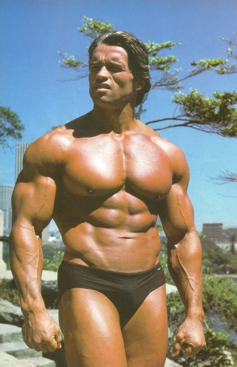 70sBabyLegacy's tweet photo. Retweet If You Love Schwarzenegger
#Retweet #arnoldschwarzenegger https://t.co/aoMvla8WYh