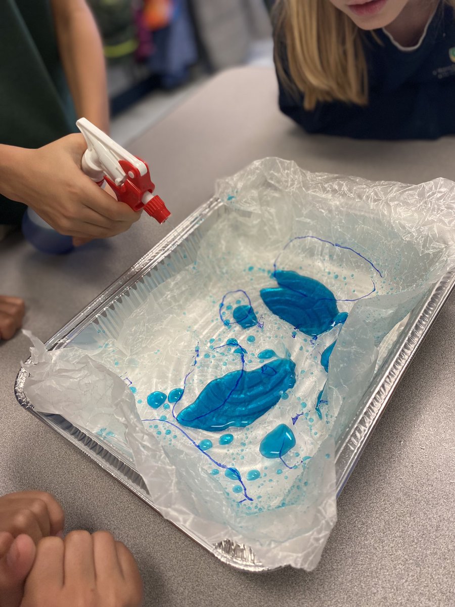 CBAWestChester's tweet photo. Second graders explored how water flows over Earth’s landscape! Our “landscape” was wax paper, with bumps and grooves like mountains, hills and valleys. What happened to the “rain” as it was pulled down by gravity? 💦🌊
#STEM #GenerationGenius #LakeFormation #BodiesofWater https://t.co/RNFpWtEzCX