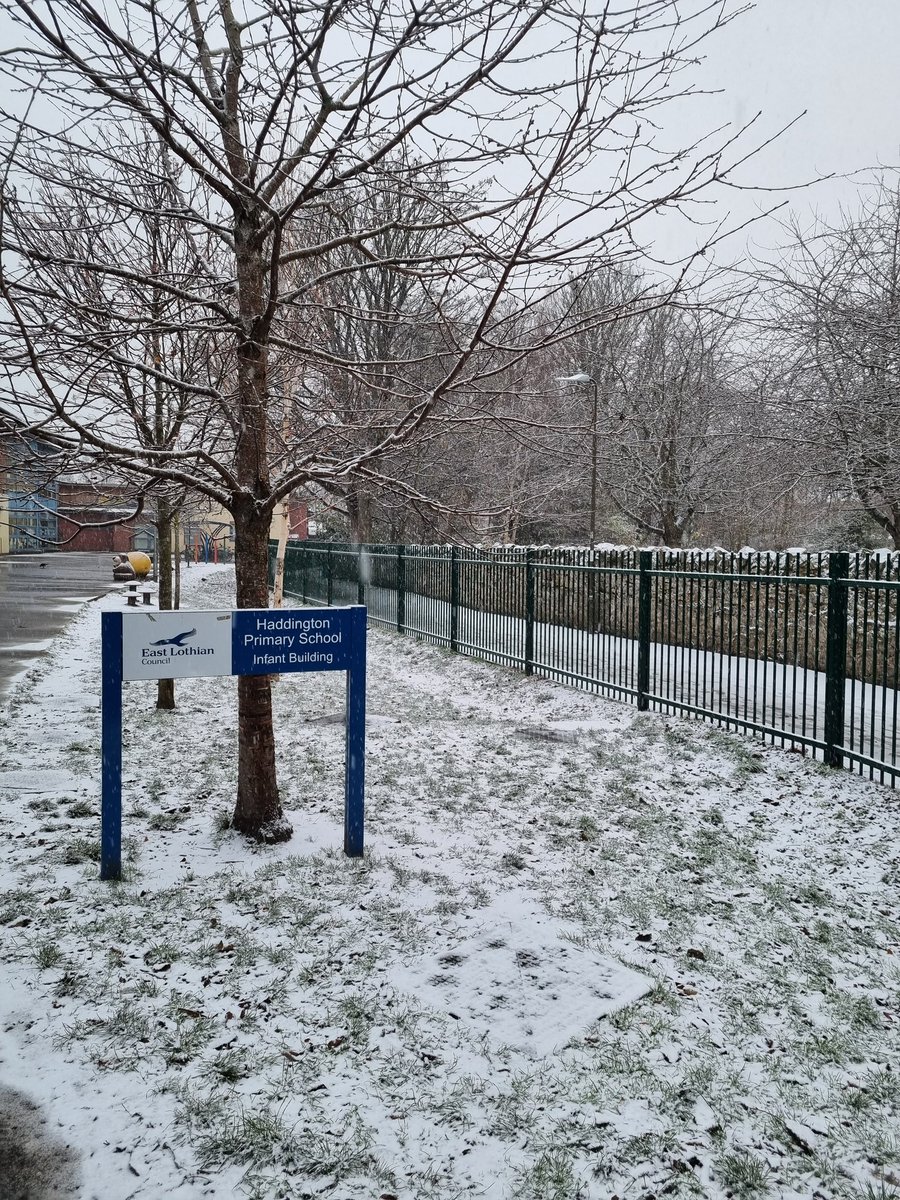 A magical wintery walk to the infant campus this morning to watch the P1 nativity. P2,3,4 and 7 were thoroughly entertained by a foot tapping, hand clapping, party sheep performance! 🐑 🥳🎉