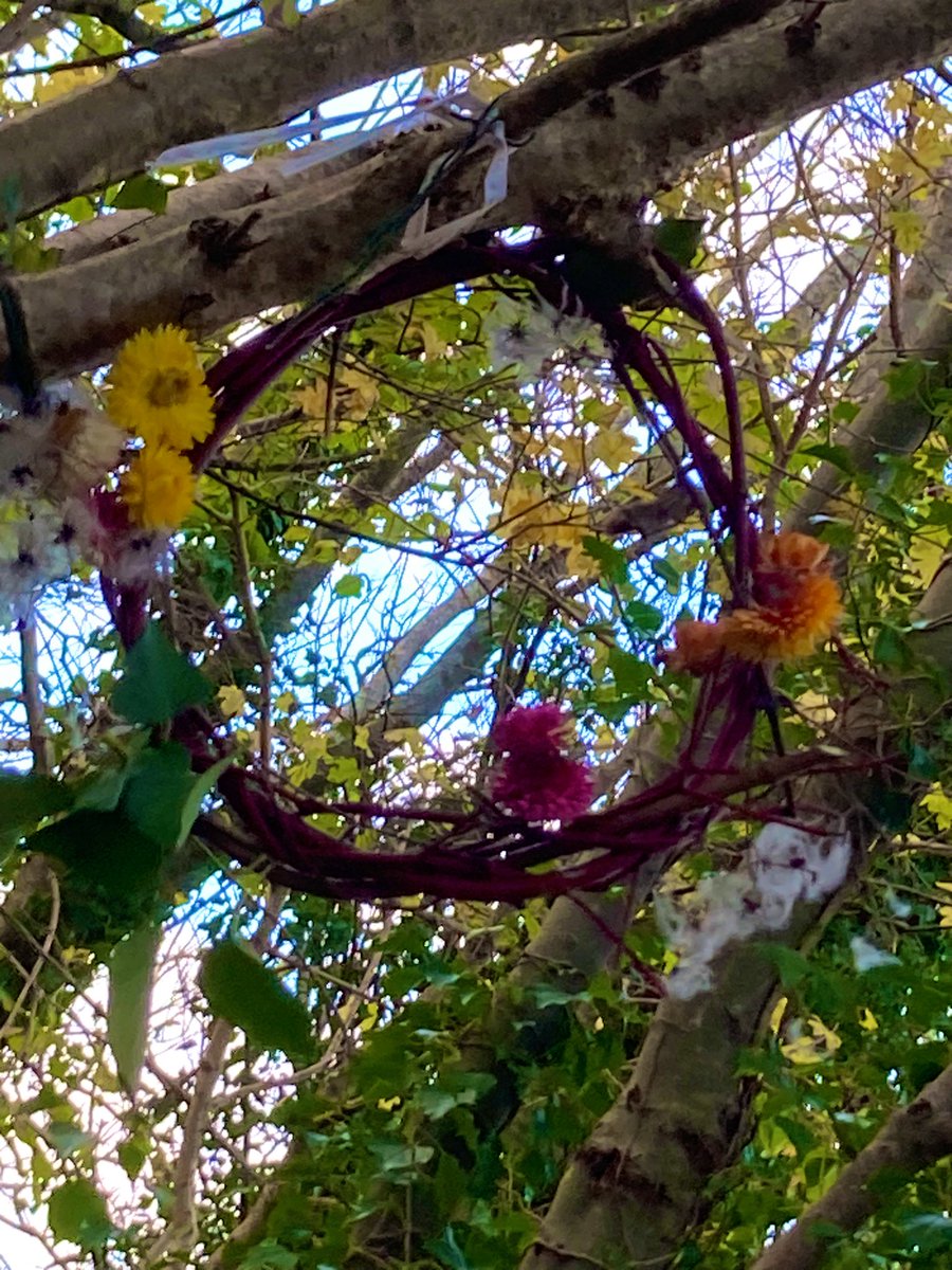 Student takeover at Forest School today!!  We made hot mulled apple juice, wreaths, bird feeders, 3-legged-stools, wind chimes, wands and a fantastic Brunch!  Wonderful afternoon <a href="/sdcollege/">South Devon College</a> #ForestSchoolThursday