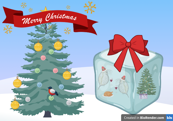 Maddie_JC's tweet photo. #ScienceGreetings from @BioRender! 🧪 🎄 https://t.co/kFjaHHnK45
