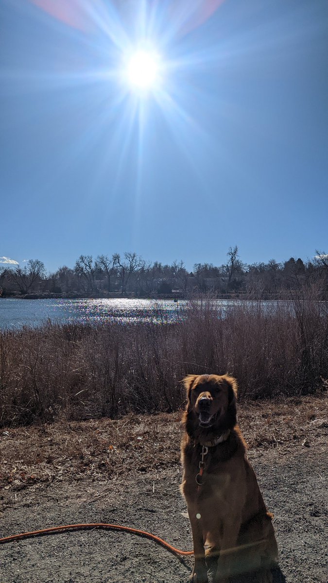 Rrruff | @rrruff.cofurries.social tweet media