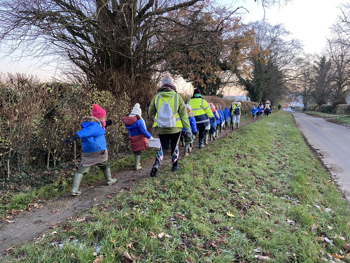 WestonFavell Primary tweet media