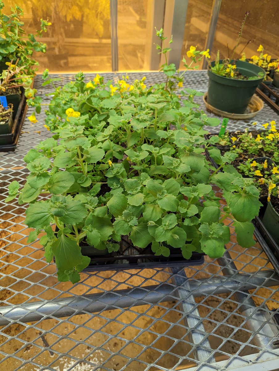 Natalie Gonzalez tweet media