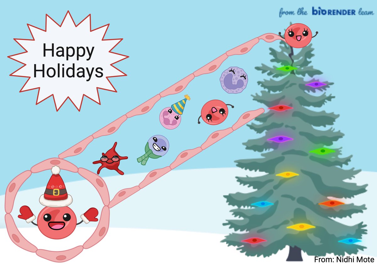 Here is my entry for Holiday e-card contest <a href="/BioRender/">BioRender</a> 
Blood cells getting ready for a party!  Happy holidays! 😄 🎉
#sciencegreetings
