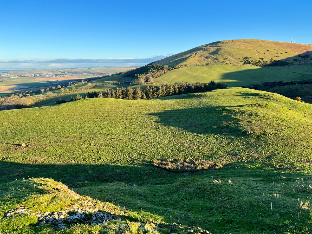 Susanne Arbuckle tweet media