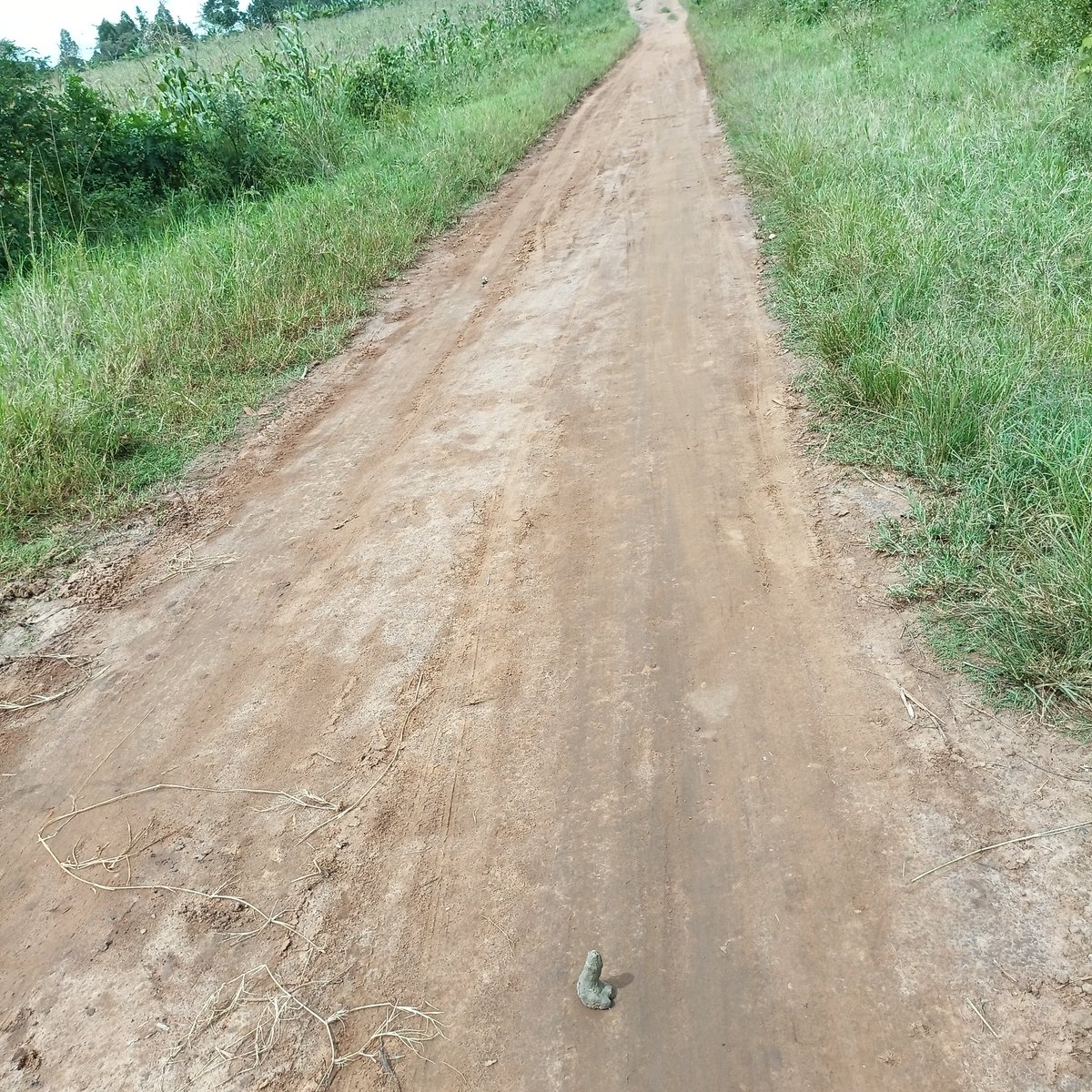 Weird Confessions Uganda tweet media