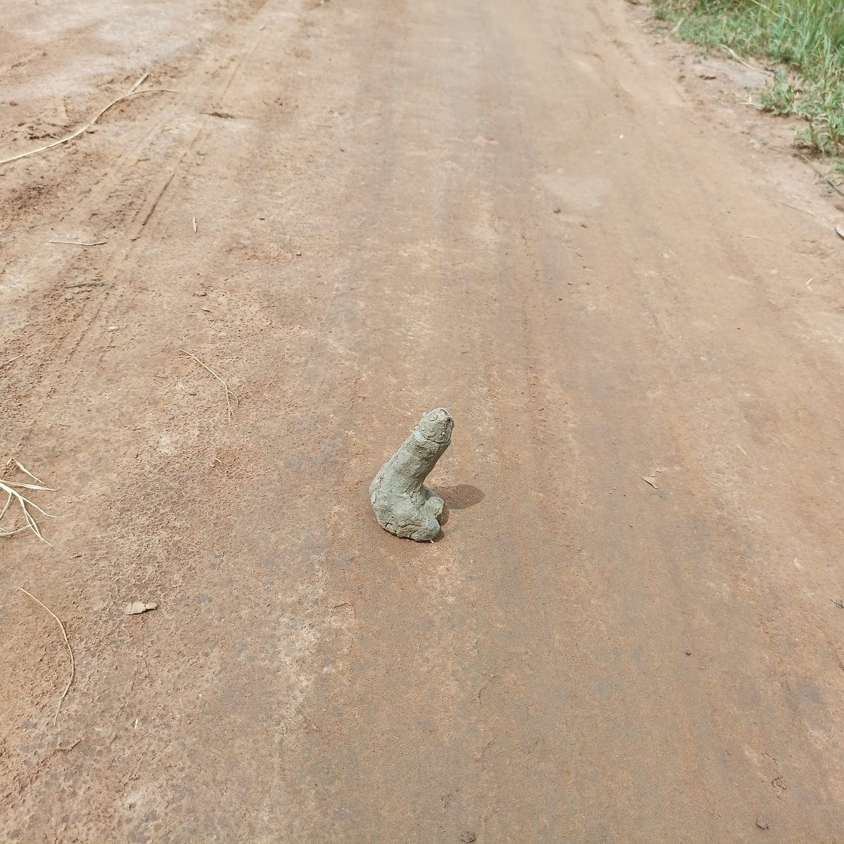 Weird Confessions Uganda tweet media