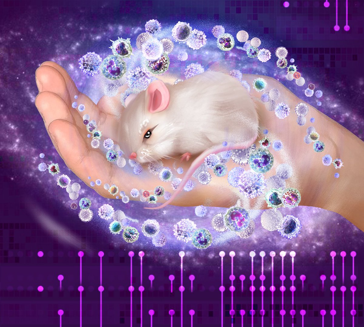 Blood Cancer Discovery (@bcd_aacr) on Twitter photo In vivo modeling of #CLL transformation to #Richtersyndrome reveals convergent evolutionary paths and therapeutic vulnerabilities, by <a href="/etenhacken/">Elisa ten Hacken</a> et al.
bit.ly/3uxoFRe
<a href="/DanaFarberNews/">Dana-Farber News</a> <a href="/DanaFarber/">Dana-Farber</a> <a href="/harvardmed/">Harvard Medical School</a> #chroniclymphocyticleukemia In vivo modeling of #CLL transformation to #Richtersyndrome reveals convergent evolutionary paths and therapeutic vulnerabilities, by <a href="/etenhacken/">Elisa ten Hacken</a> et al.
bit.ly/3uxoFRe
<a href="/DanaFarberNews/">Dana-Farber News</a> <a href="/DanaFarber/">Dana-Farber</a> <a href="/harvardmed/">Harvard Medical School</a> #chroniclymphocyticleukemia