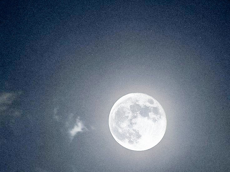 ہم مطمئن بہت ہیں اگر خوش نہیں بھی ہیں
تم خوش ہو! کیا ہوا جو ہمارے بغیر ہو!
#اردو_شاعری 
#مرشد_رائٹس 
#محبت