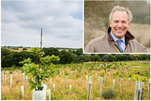 'Where to with woodlands?' 17 Jan, 10am-3pm, Gilling West <a href="/CLANorth/">CLA North</a> &amp; supported by the FC. <a href="/ForestryComm/">Forestry Commission</a> chair <a href="/williamrworsley/">William Worsley</a> + sectoral experts exploring woodland benefits; management; funding opps &amp; resilience post-Storm Arwen. £15+VAT p/t

Info bit.ly/3iCu5Yo