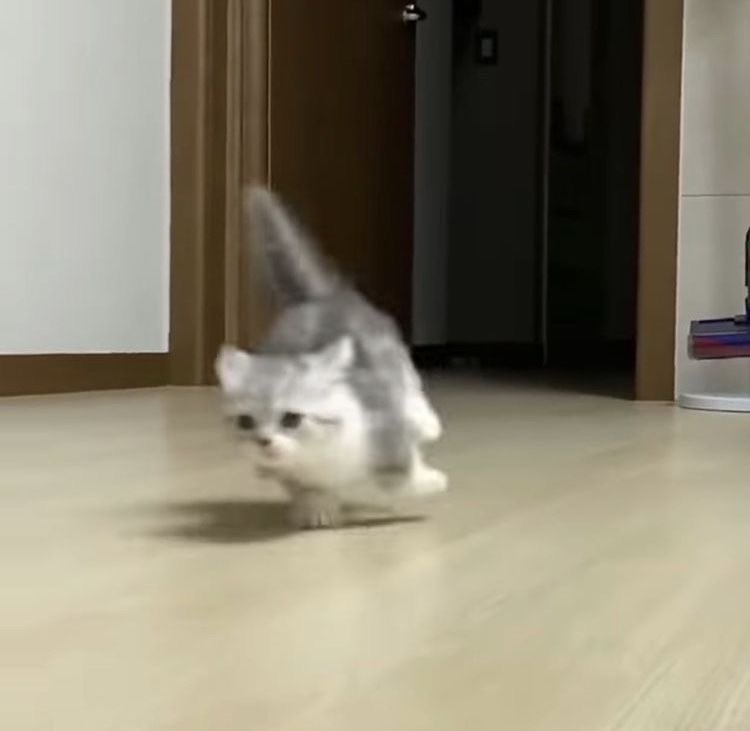 freakdafuq's tweet image. ใครมีตุ้กตาระวังตัวไว้ จุ๊มม้าคมาแล้ว