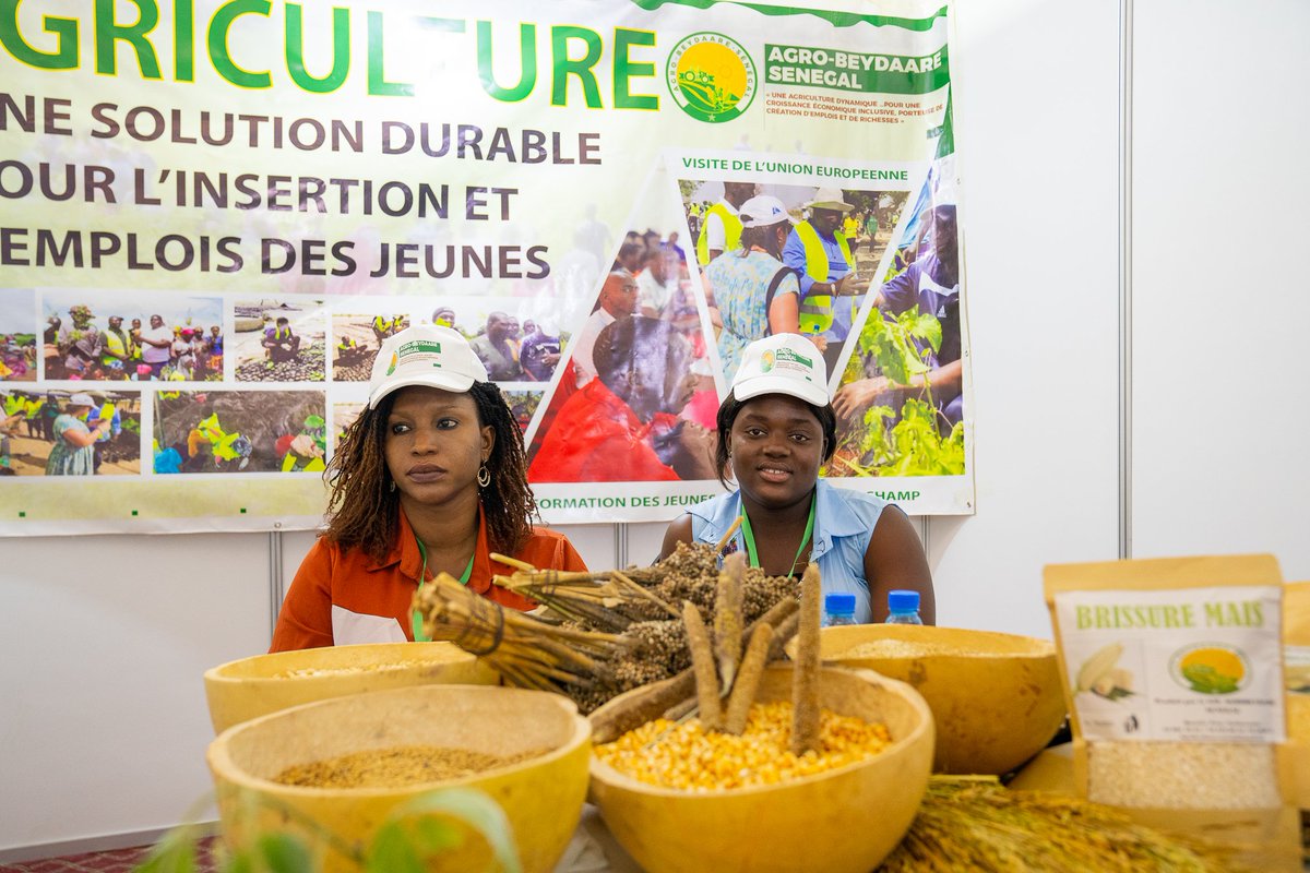 VertEmploi's tweet photo. Retour en images sur l'espace B2B dédié aux entreprises et organismes évoluant dans divers secteurs.

@OimSenegal
@ongVis
 @wutiko
 #AfricaTrustFund #EUInternationalpartnerships #TchequieAfrique #tekkifii #anpej #ADEPME 
#DUSgal #unmigration #climatechange https://t.co/WF7VR5UsD1