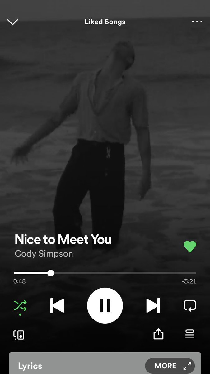 this song.. and the album in general give me heartache.. it’s bitter, yet so sweet and it feels like I was somehow forced to break up with my non-existent partner, whom I loved so much…ouch. 
<a href="/CodySimpson/">Cody Simpson</a>