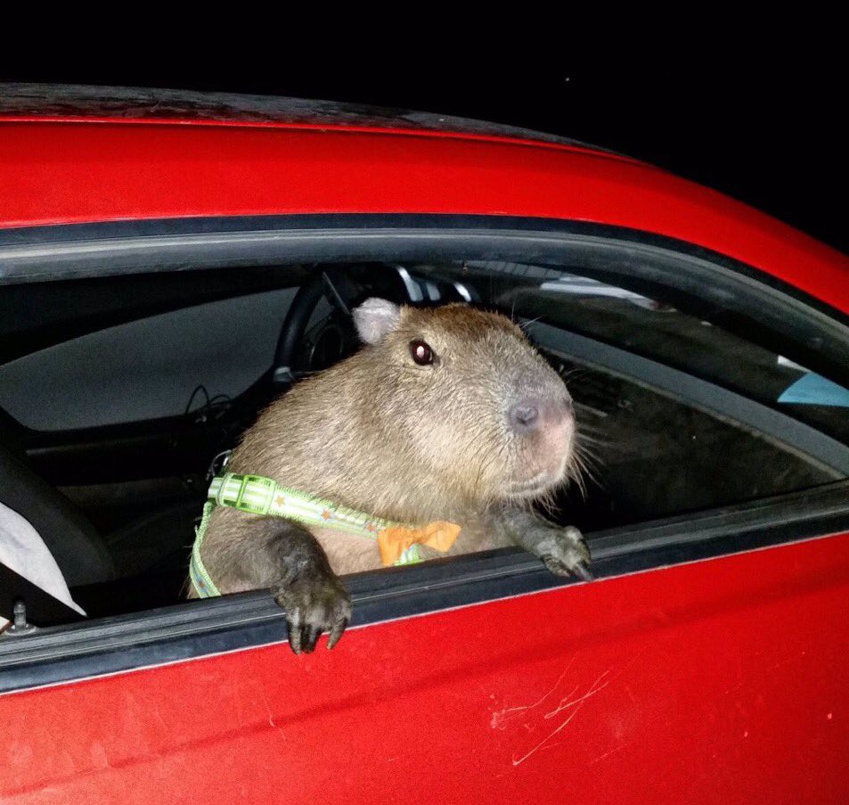 hop in, no time to explain