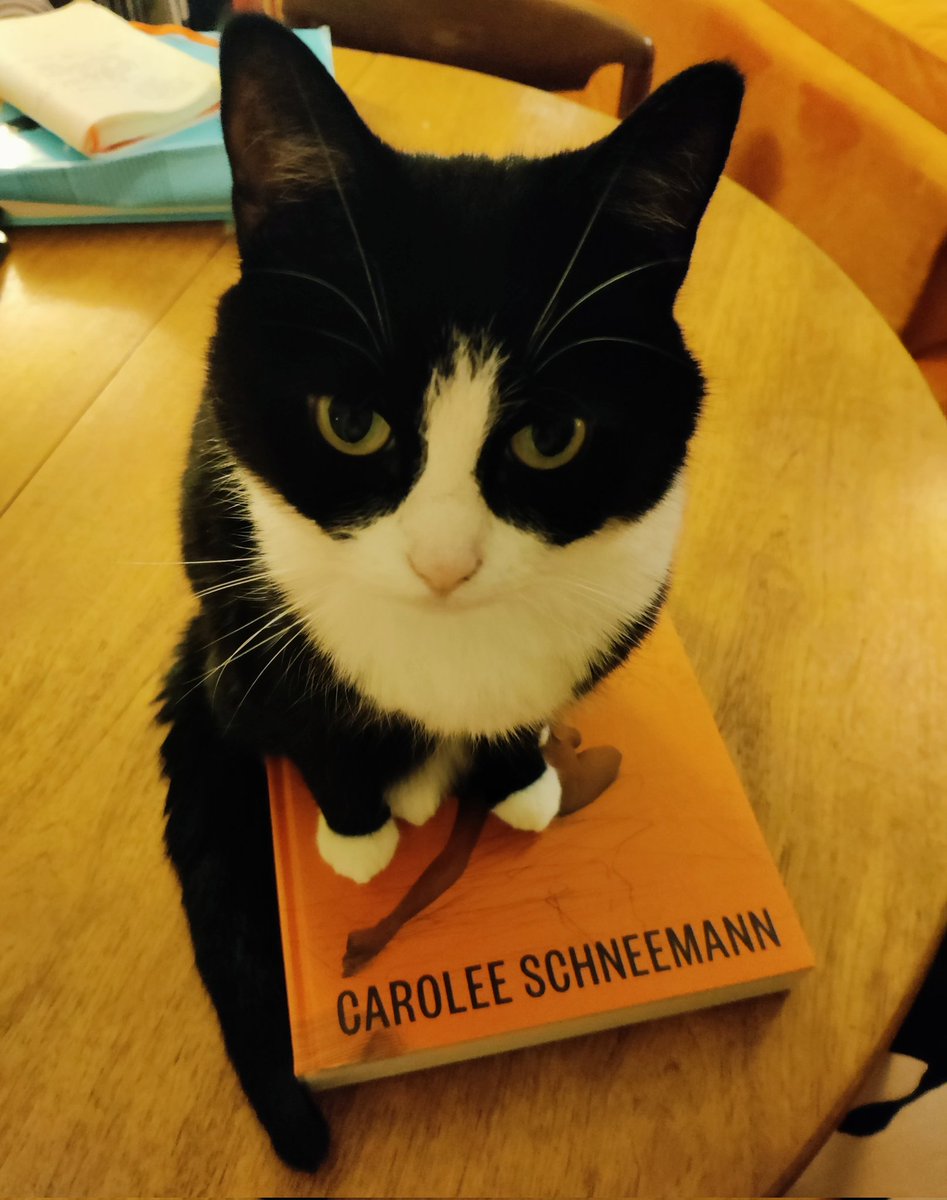 'The cat is my medium' - Carolee Schneemann.