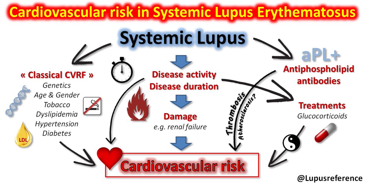 ❤️ Nice talk about #cardiovascular risk in #autoimmune diseases & #Lupus at #SNFMI85, including the recent @eular_org recommendations for the management of #cardiovascular risk in patients with #lupus or aPL/APS 🎯 Link: doi.org/10.1136/annrhe…