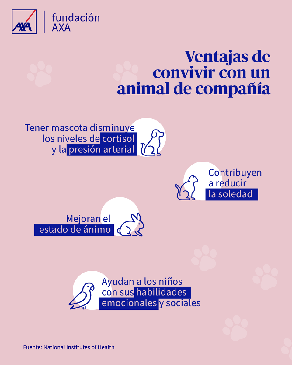 ¿Conoces los beneficios que aportan las mascotas a nuestra salud y los efectos positivos que tienen en el ser humano?
