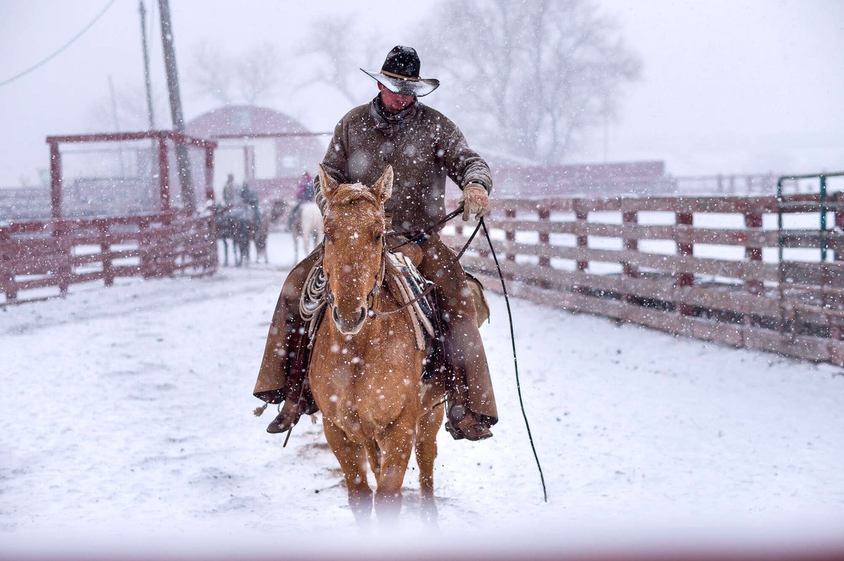 Comment bien s'équiper pour monter à cheval en hiver ?
#WinterIsComing Découvrez tous nos conseils pour pouvoir résister aux conditions hivernales et profiter pleinement de cette belle saison !
👉 blog.cheval-daventure.com/fr/post/406/co…
