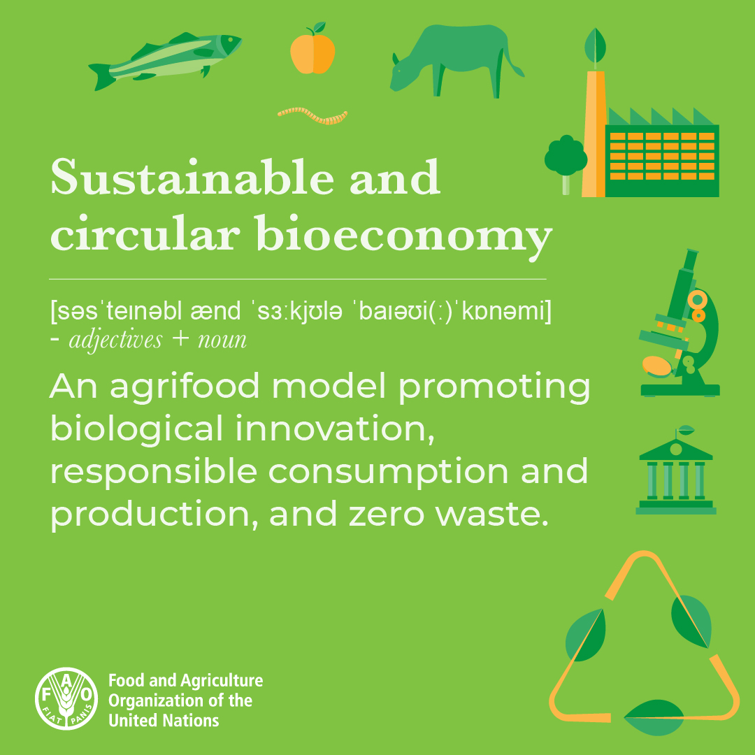 A sustainable circular bioeconomy has major untapped potential to help combat the #ClimateCrisis & transform our agrifood systems.

But what is #bioeconomy exactly?

#WorldFoodForum