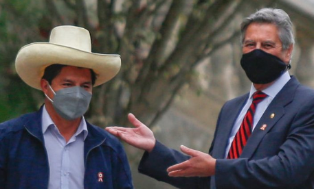 martha meier m.q tweet media