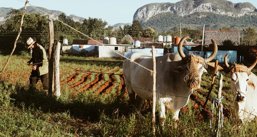 LegalLanguage's tweet image. Service of process under the Helms-Burton Act re:Cuba  ecs.page.link/8uzwS #servingprocess #Cuba #legal