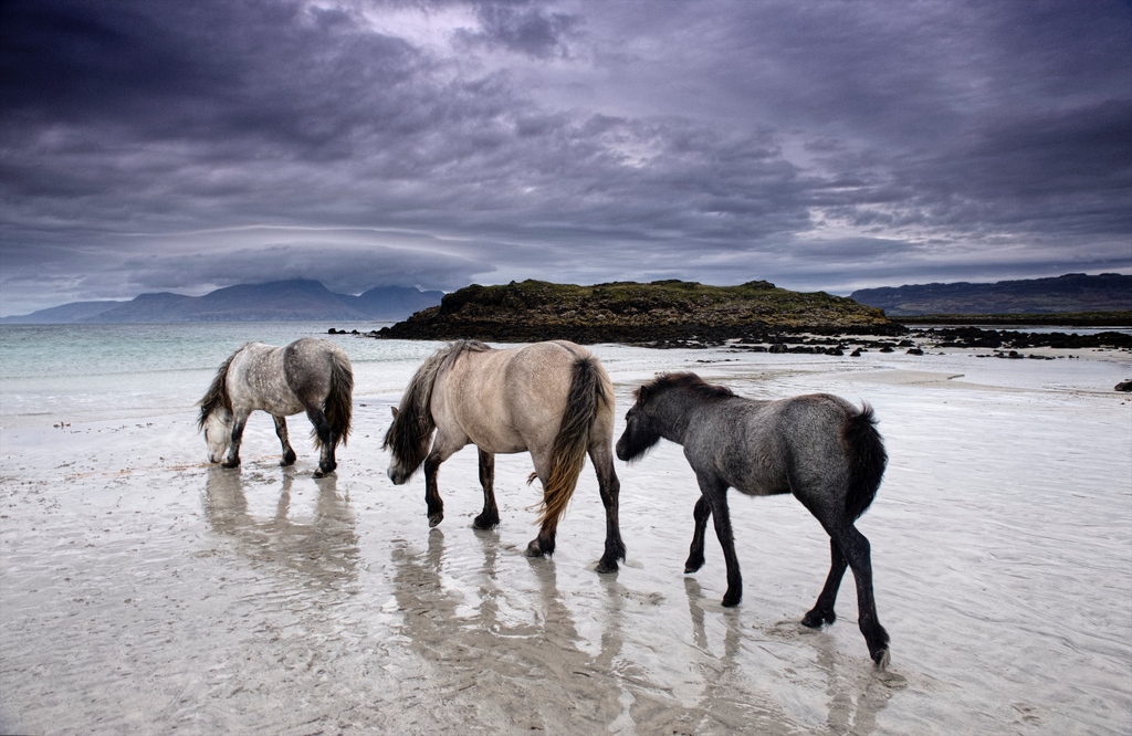 Summit Workshops tweet media