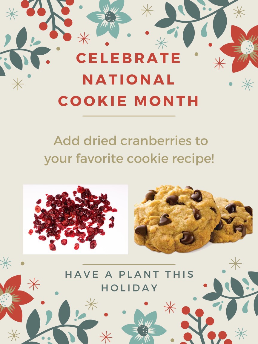 More ideas for using cranberries in holiday recipes as part of my “Have A Plant this Holiday Season" tips for December.

#cranberries #holidaycookies #nationalcookiemonth #haveaplant