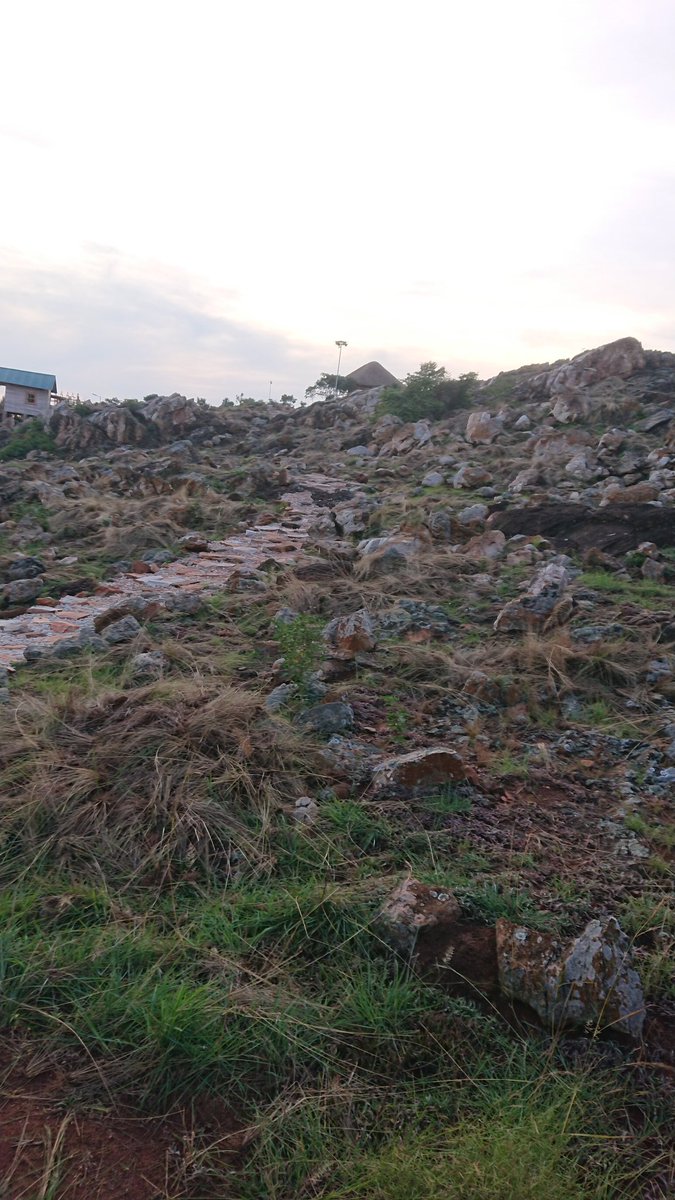 Please book space to stay at Nyenga Eco Resort for this festival. Enjoy fresh air and space for your future work plan