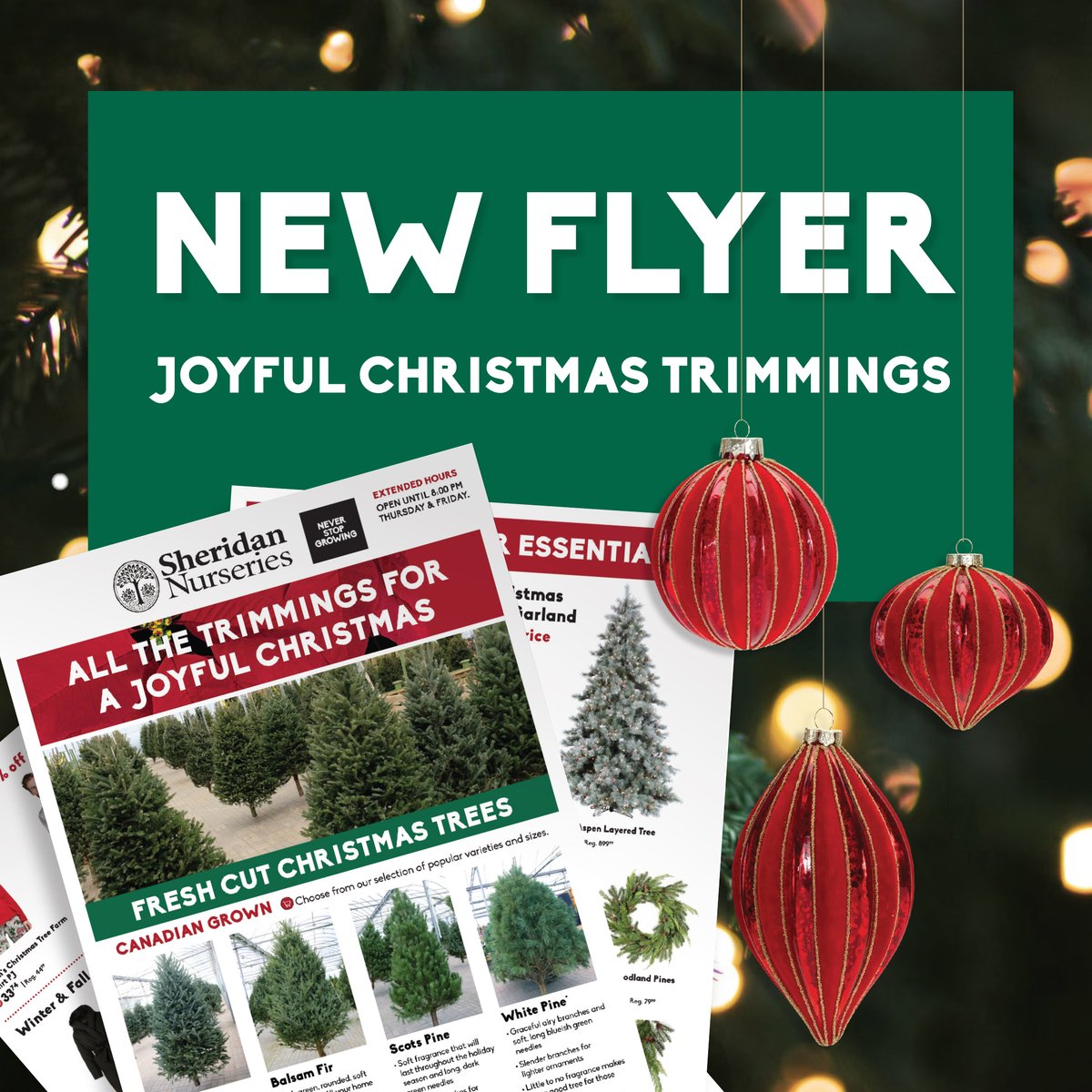 New Flyer: All The Trimmings For A Joyful Christmas
🎄Canadian grown fresh cut Christmas trees
🎄Christmas Ornaments 30% off regular price
🎄Seasonal Scents 30% off regular price
🎄Holiday decor essentials
Click the link below to see the full flyer!
ow.ly/Y1sv50LYIg4