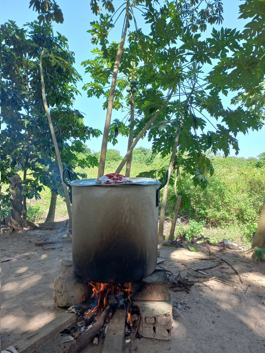 A simple vista un sentimiento de unidad, familia y amistad, con un aroma de felicidad.
Y a lo lejos, tranquilidad, armonía y serenidad.
.
.
.
Malambo - Atlántico.