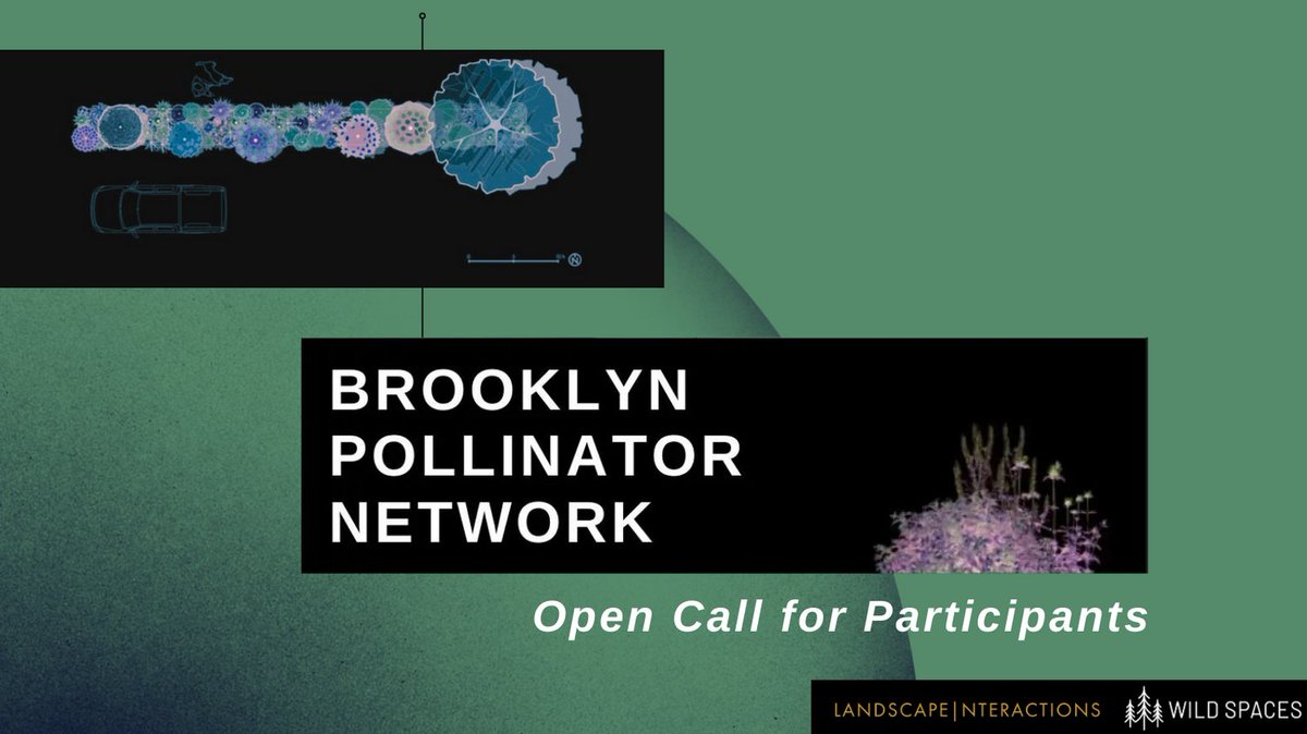 Evan Abramson tweet media