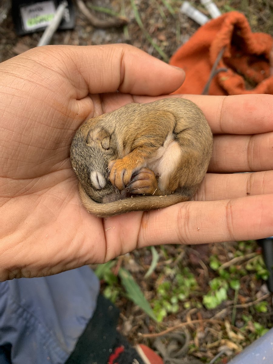 Cesár Estien, PhD 🇵🇸 tweet media