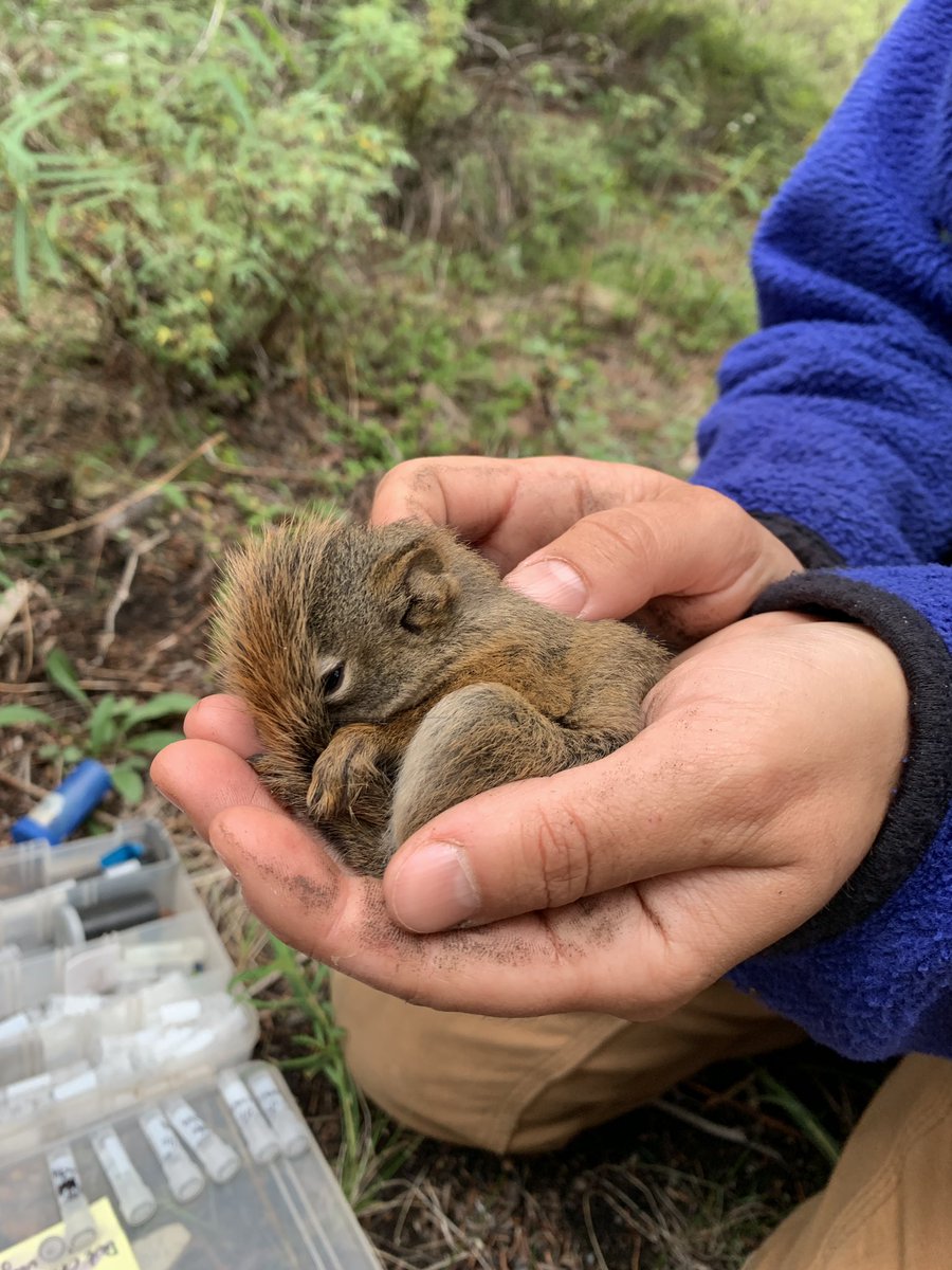 Cesár Estien, PhD 🇵🇸 tweet media