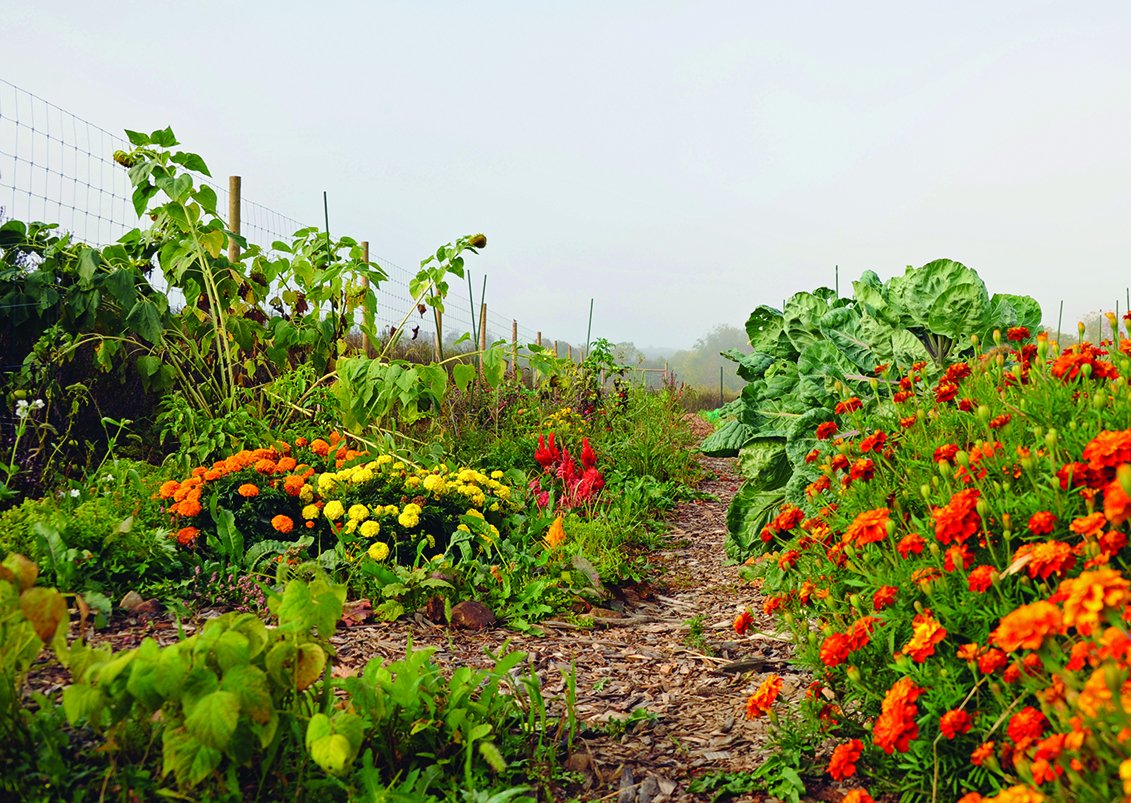 South Branch Preserve was selected by @NJ_Planning as one of the state’s 2022 Great Places! The NJAPA said they received numerous applications, and the four that were selected met the “gold standard” of planning and design. Why South Branch? Read on: tlc-nj.org/blog