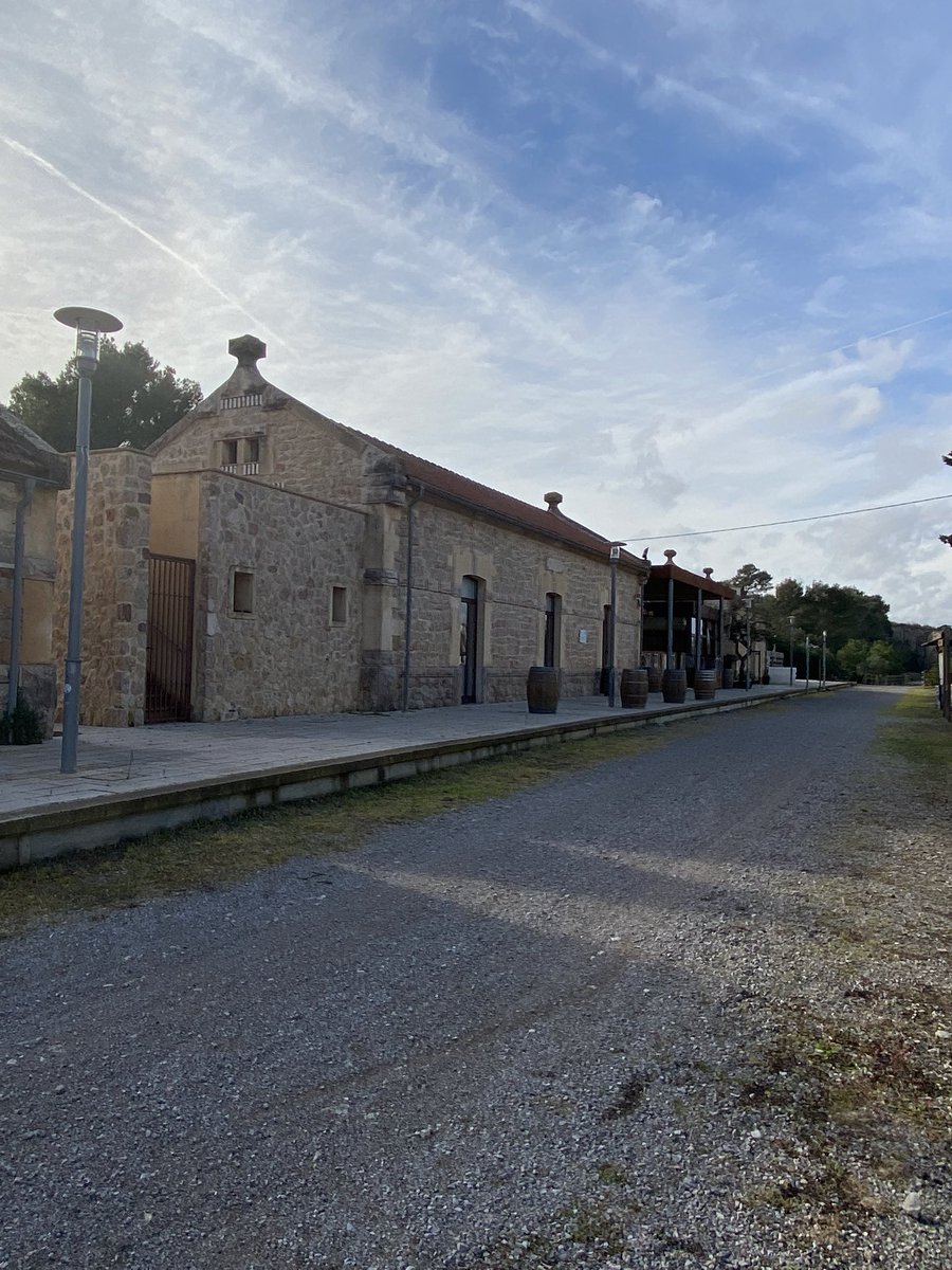 Nice gravel ride out today along the old railway track from Manacor to Arta and back - Vie Verde #ceeporindo @ceepobike <a href="/trifanaticsesp/">Trifanatics</a> <a href="/rideparcours/">Parcours Velo</a>