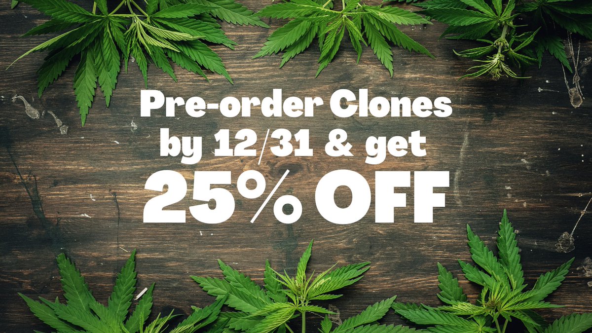 Burning Bush Nurseries - Marijuana Clones & Seeds tweet media