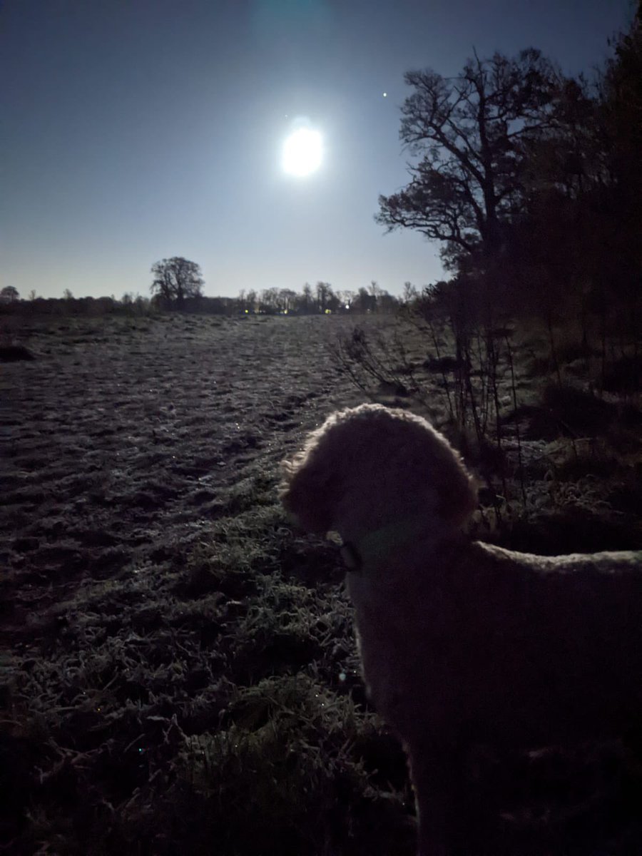 DJRIOTGIRL tweet media