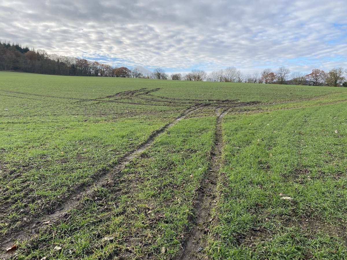 Thanks to whichever waste of space did this 😡

I wonder who was borrowing the family brain cell at the time… 🤔