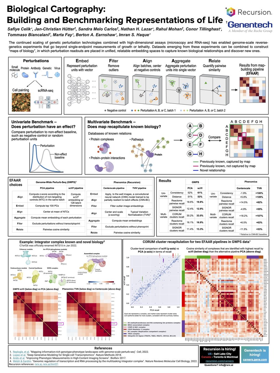 We’ll be presenting at #LMRL2022 tomorrow alongside our partners at <a href="/genentech/">Genentech</a>!

Catch our poster from 2-3pm MT &amp; our live presentation at 7-8am MT to learn about our framework for building &amp; benchmarking Maps of #Biology. <a href="/lmrl_bio/">Learning Meaningful Representations of Life</a> 

Read the paper: bit.ly/3VkAXrX